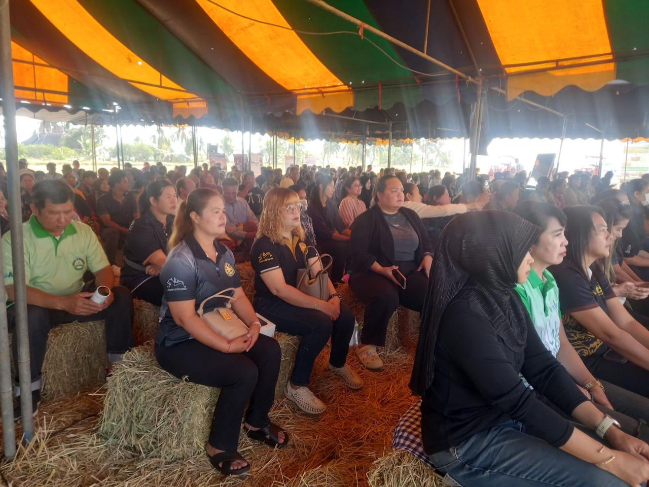 ภาพประกอบที่ 7