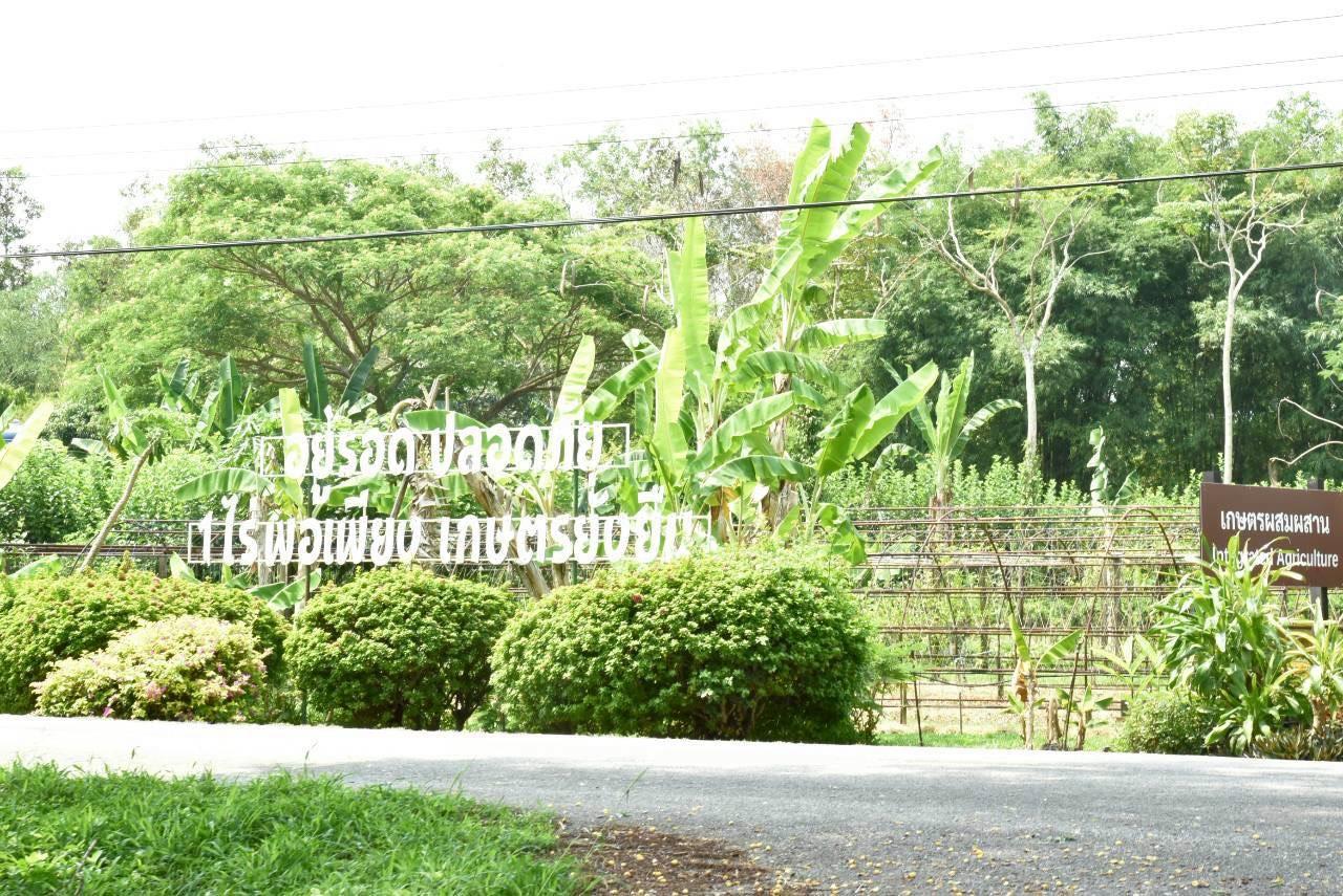 ภาพประกอบที่ 8