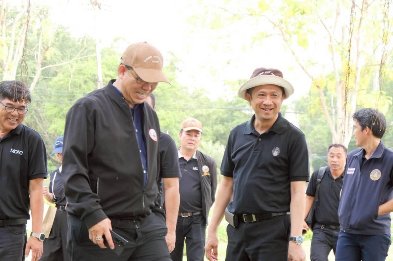 ภาพประกอบที่ 3