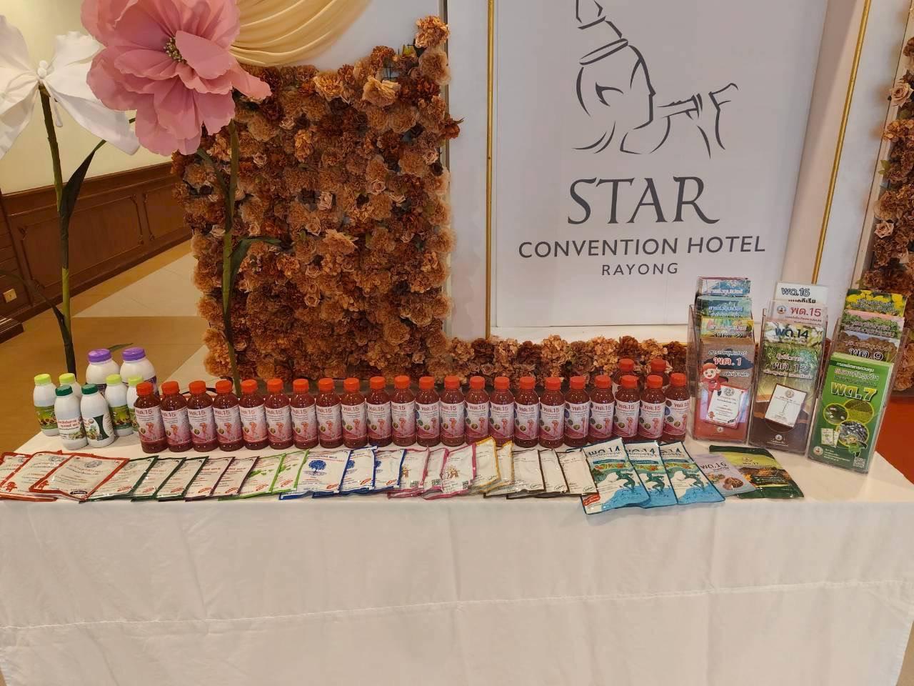 ภาพประกอบที่ 10