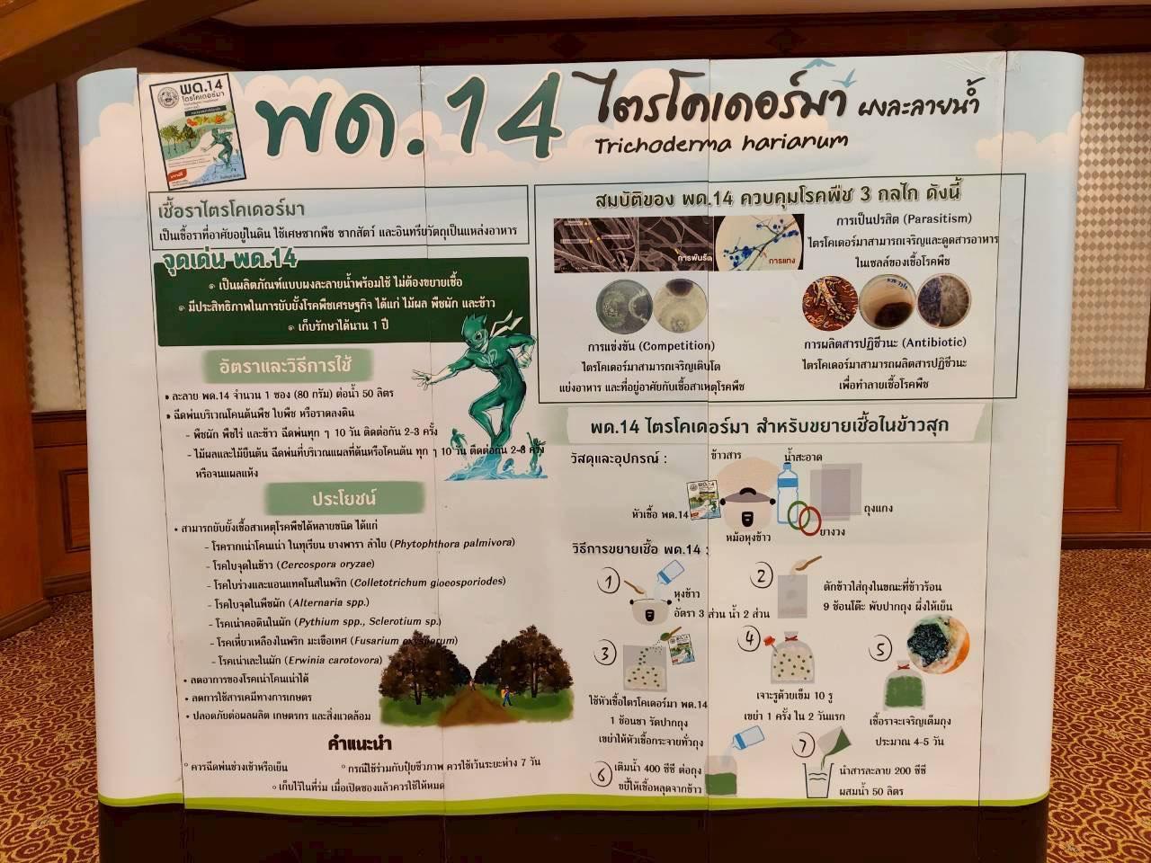 ภาพประกอบที่ 9