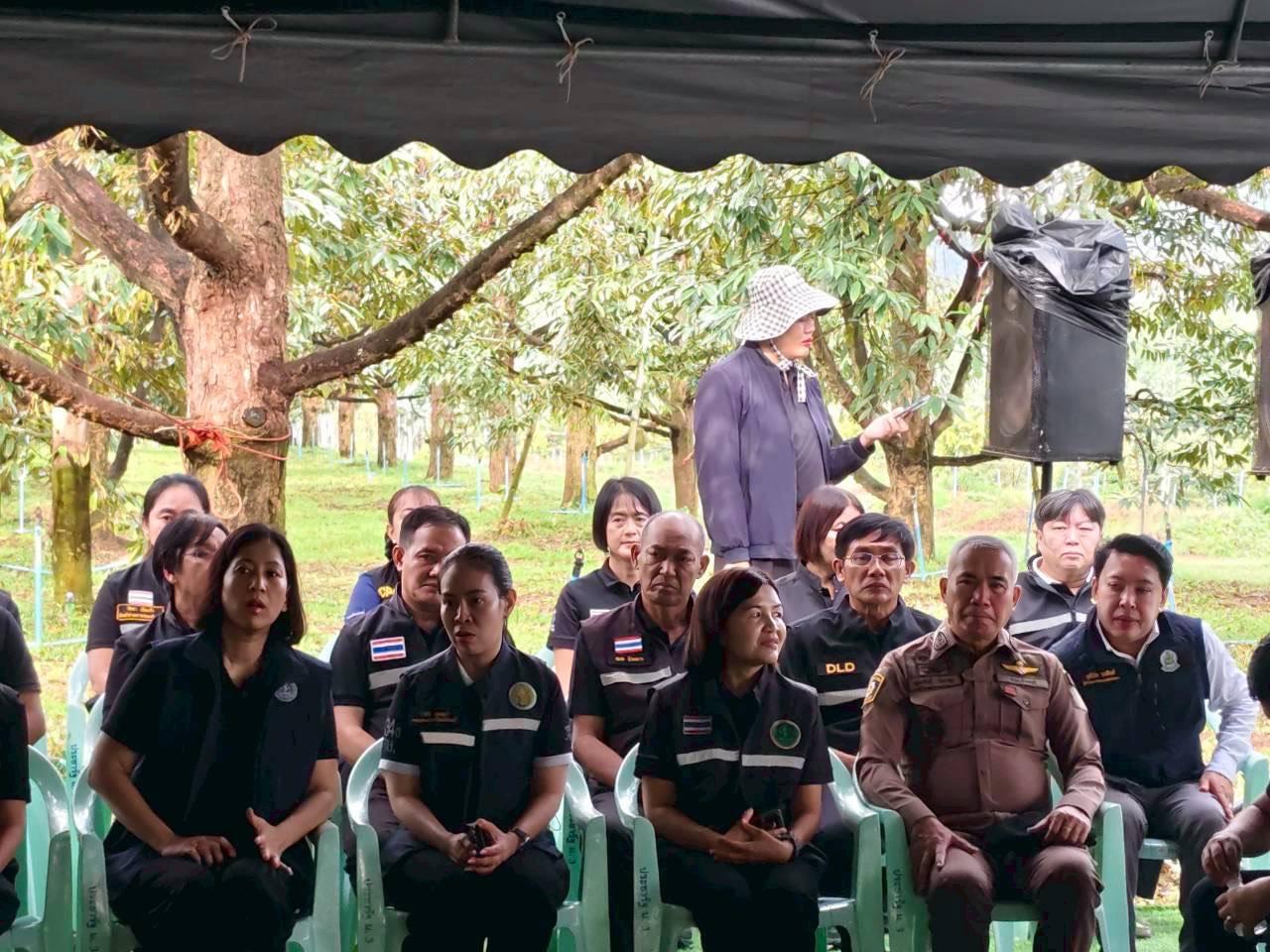 ภาพประกอบที่ 6