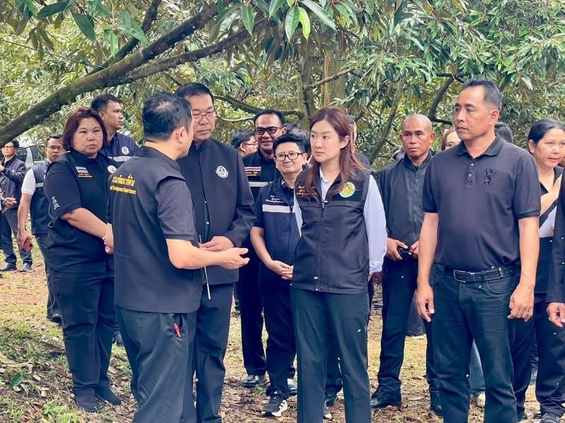 ภาพประกอบที่ 8