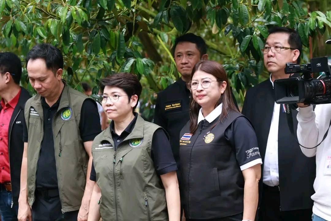 ภาพประกอบที่ 16
