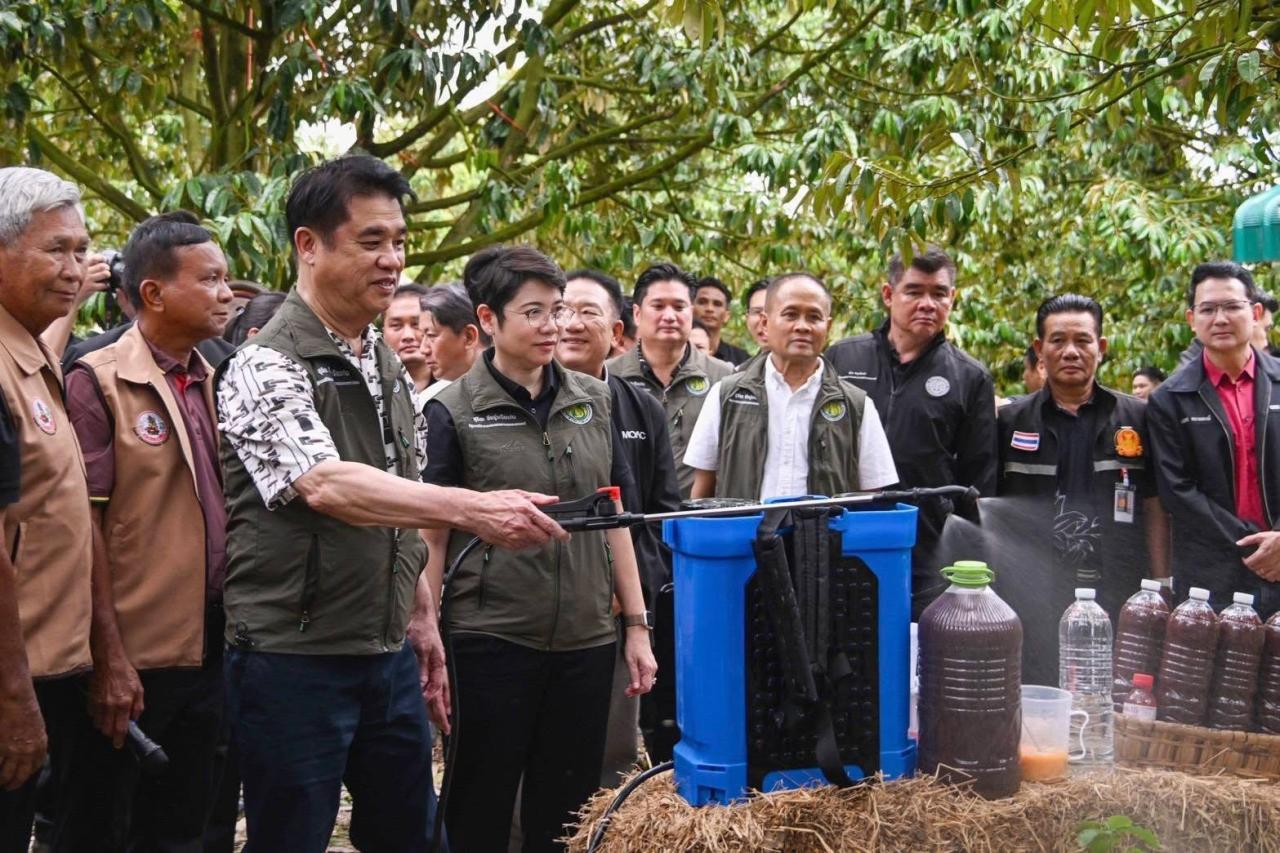 ภาพประกอบที่ 13