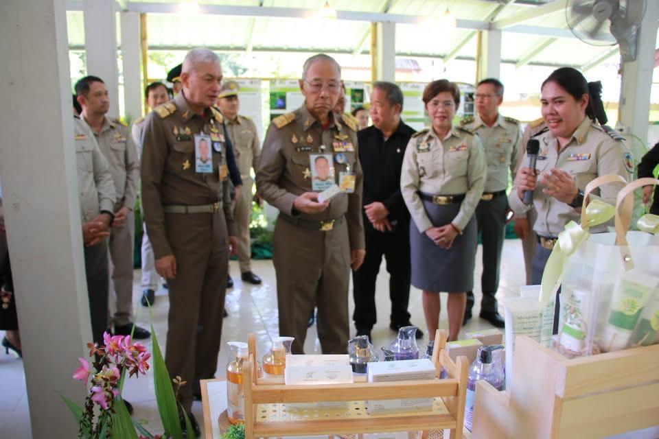 ภาพประกอบที่ 10