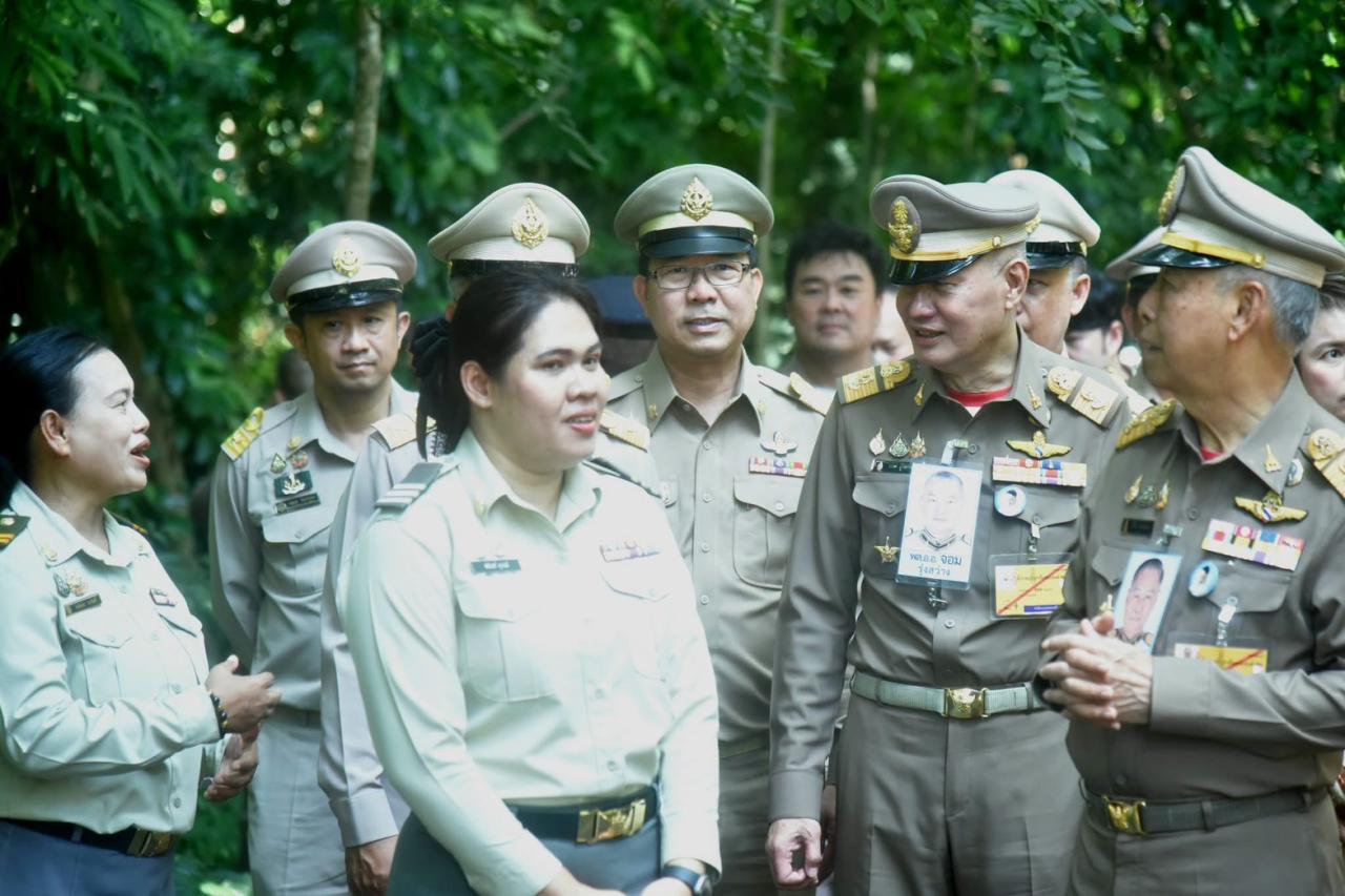 ภาพประกอบที่ 8