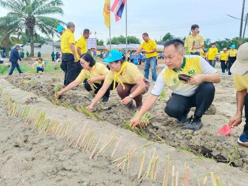 ภาพประกอบที่ 6