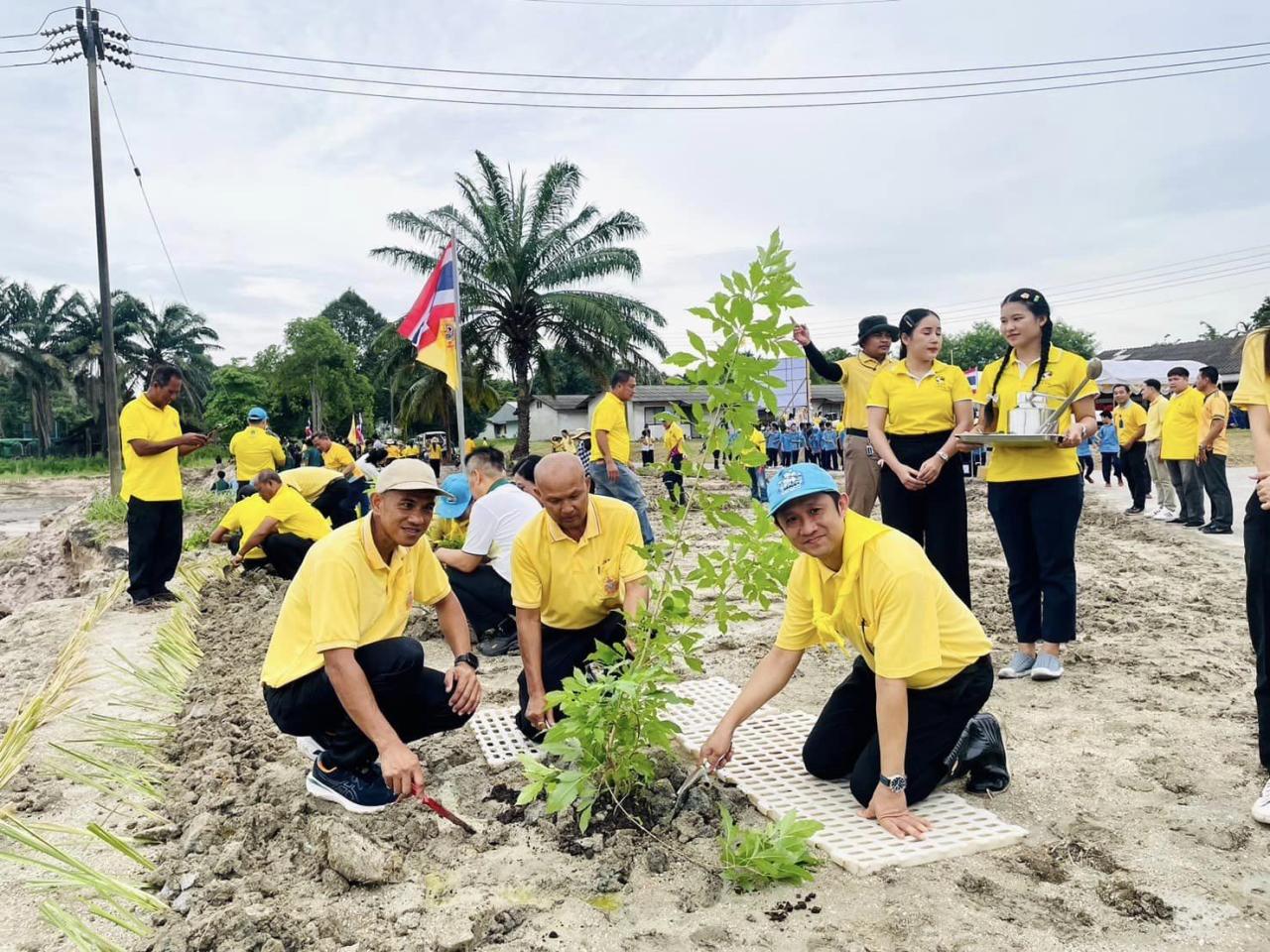 ภาพประกอบที่ 4