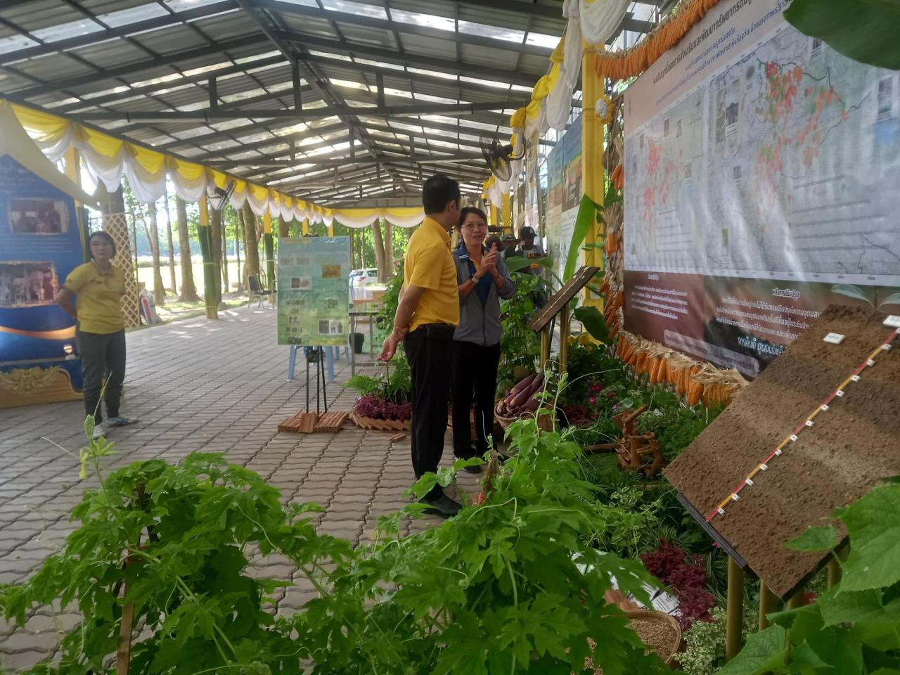 ภาพประกอบที่ 4