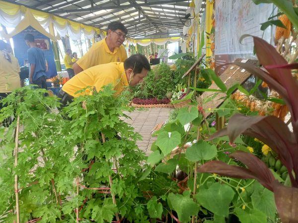 ภาพประกอบที่ 1