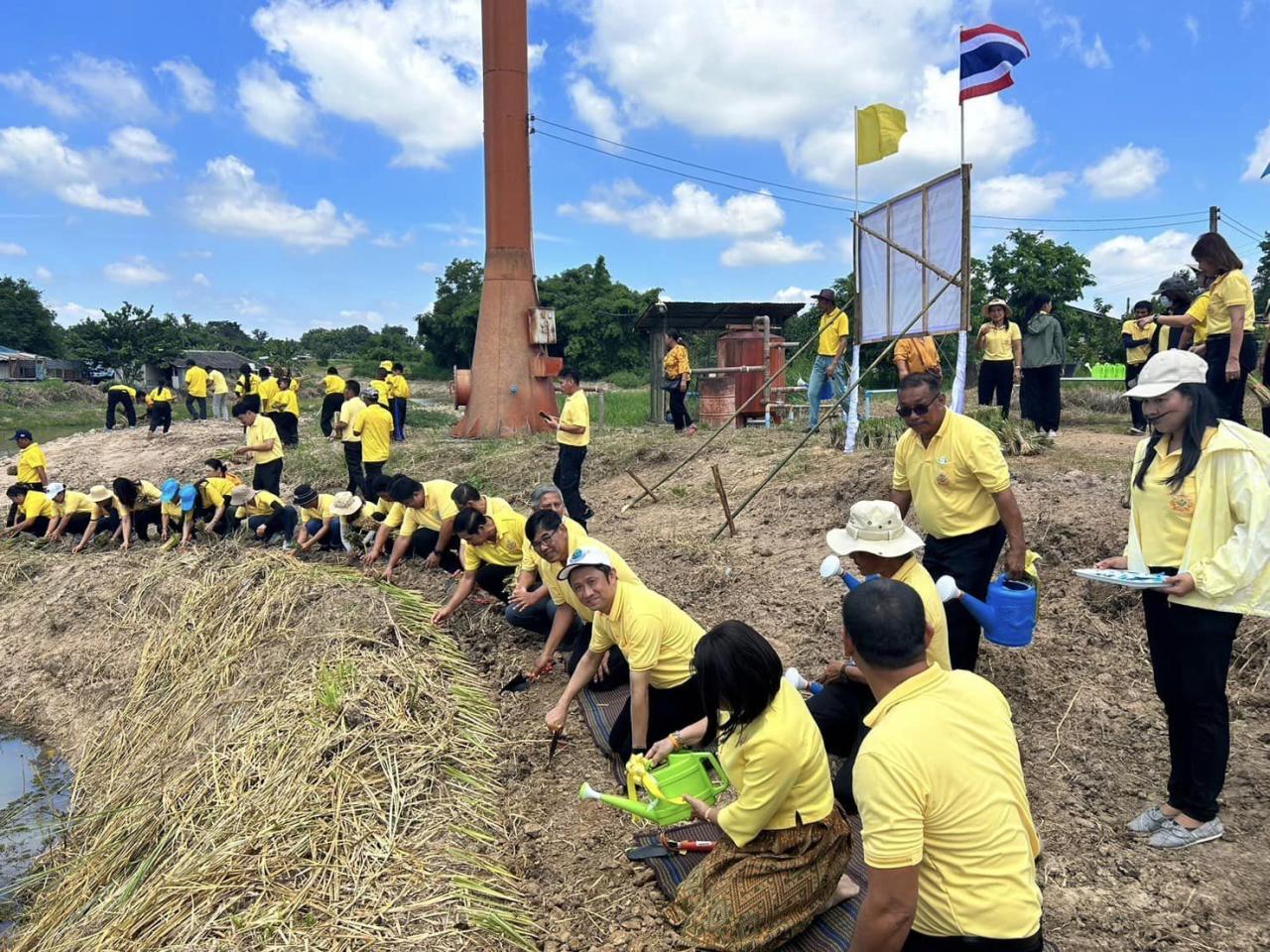 ภาพประกอบที่ 8