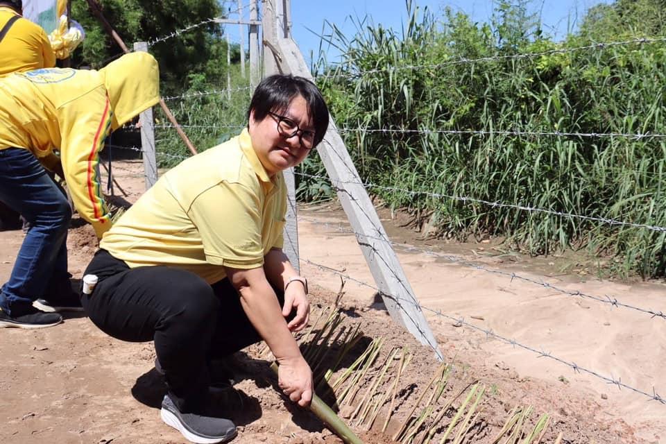 ภาพประกอบที่ 7