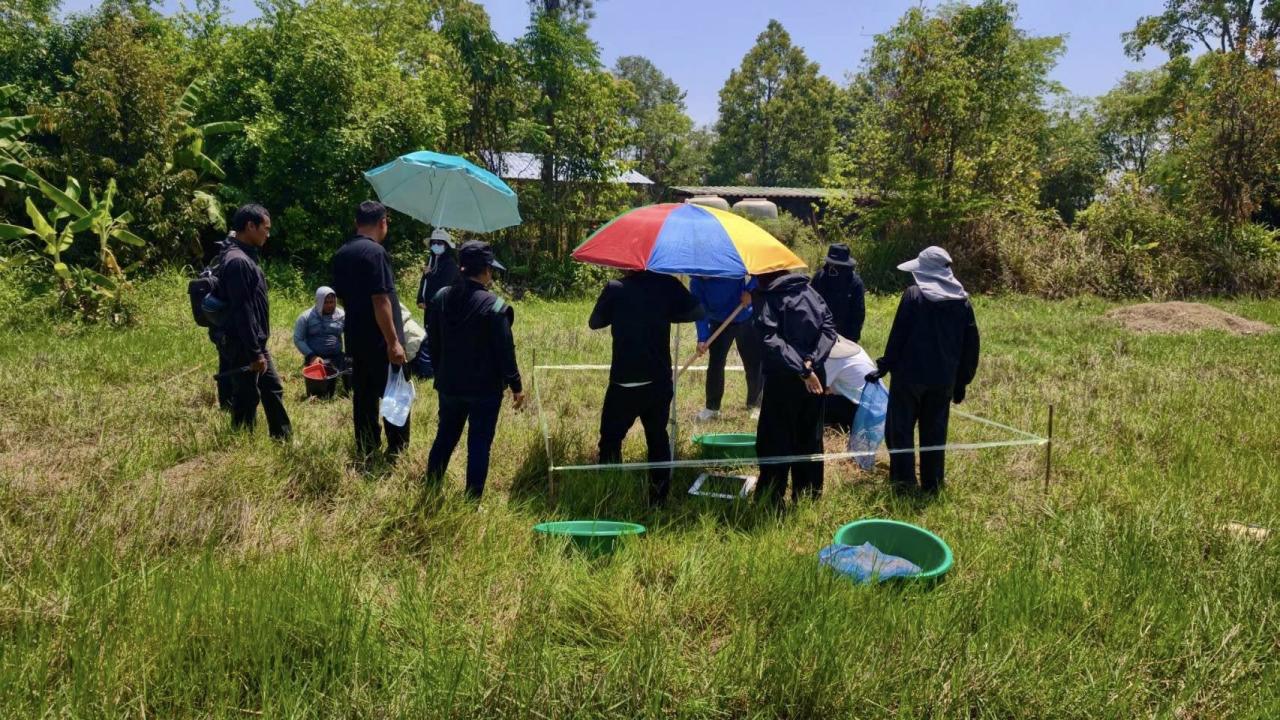 ภาพประกอบที่ 0