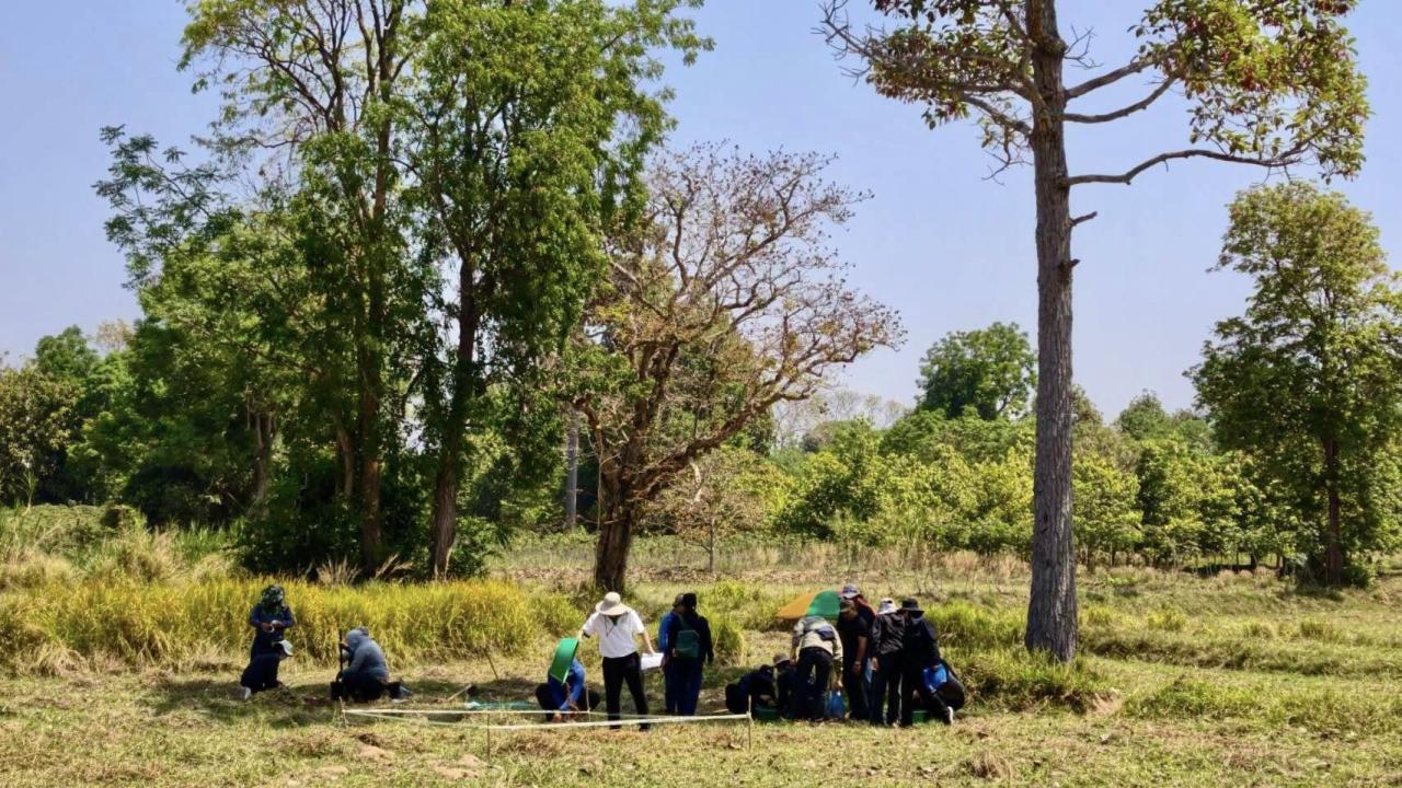 ภาพประกอบที่ 1