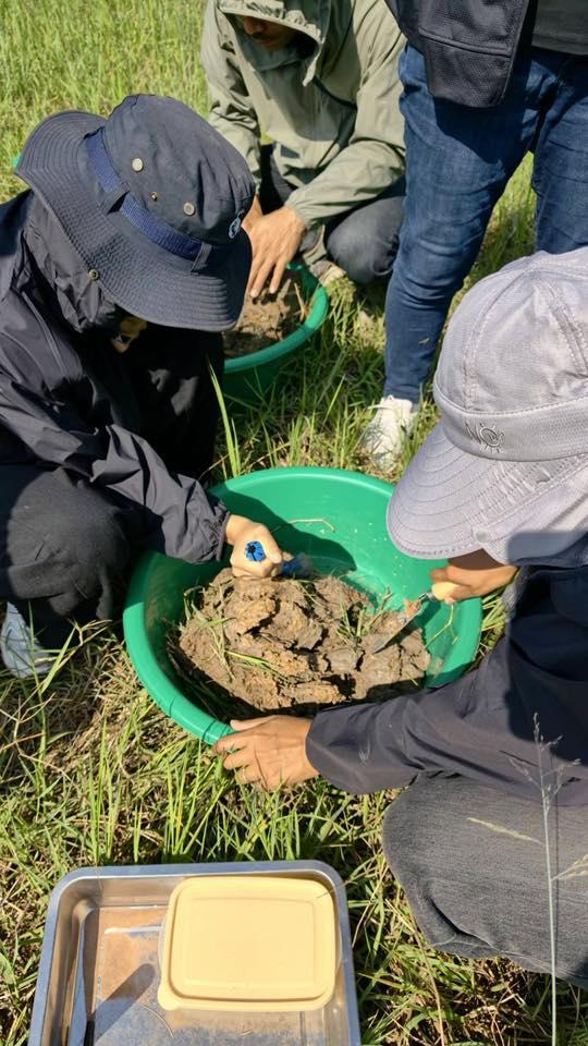 ภาพประกอบที่ 4