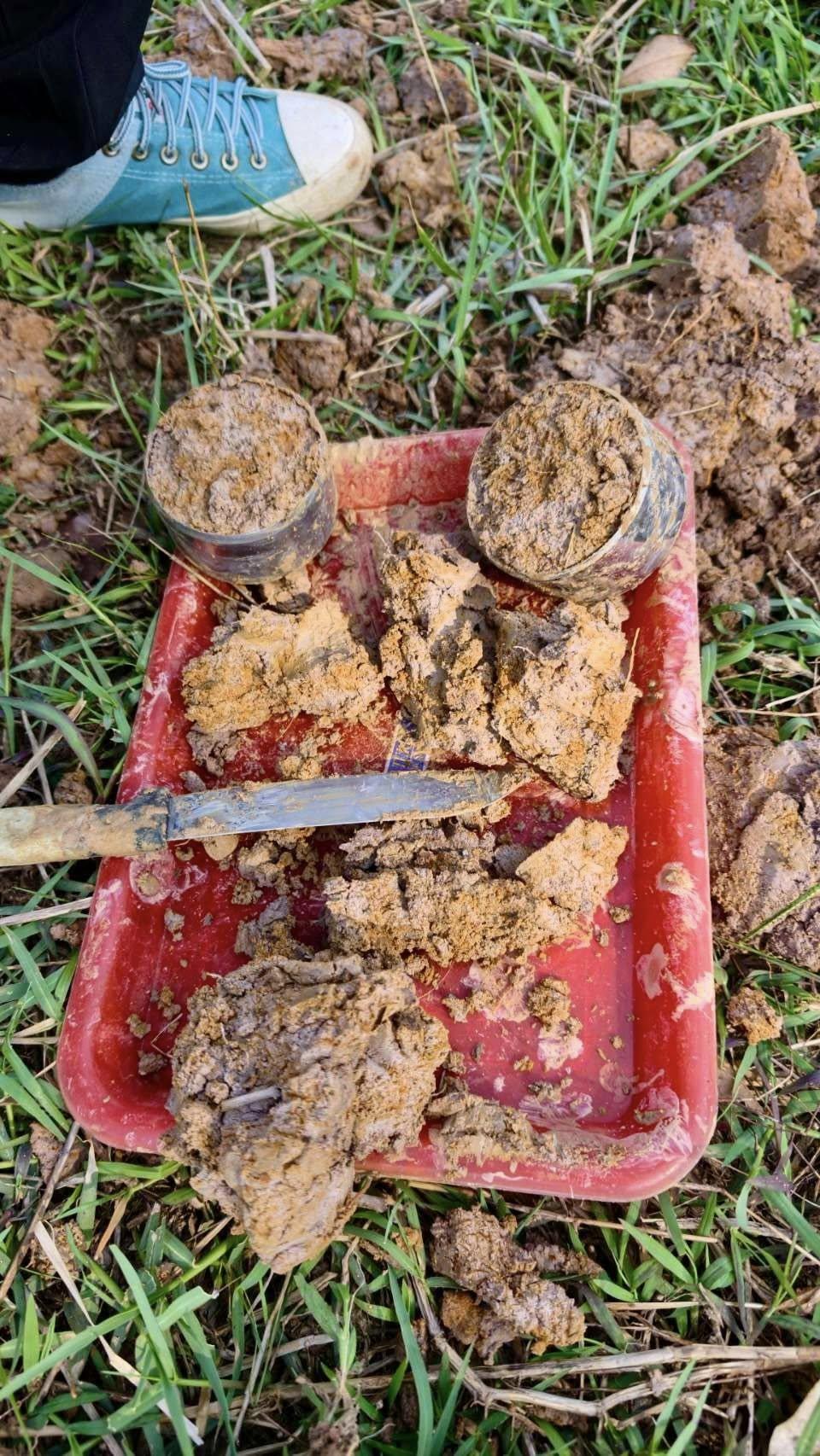 ภาพประกอบที่ 5