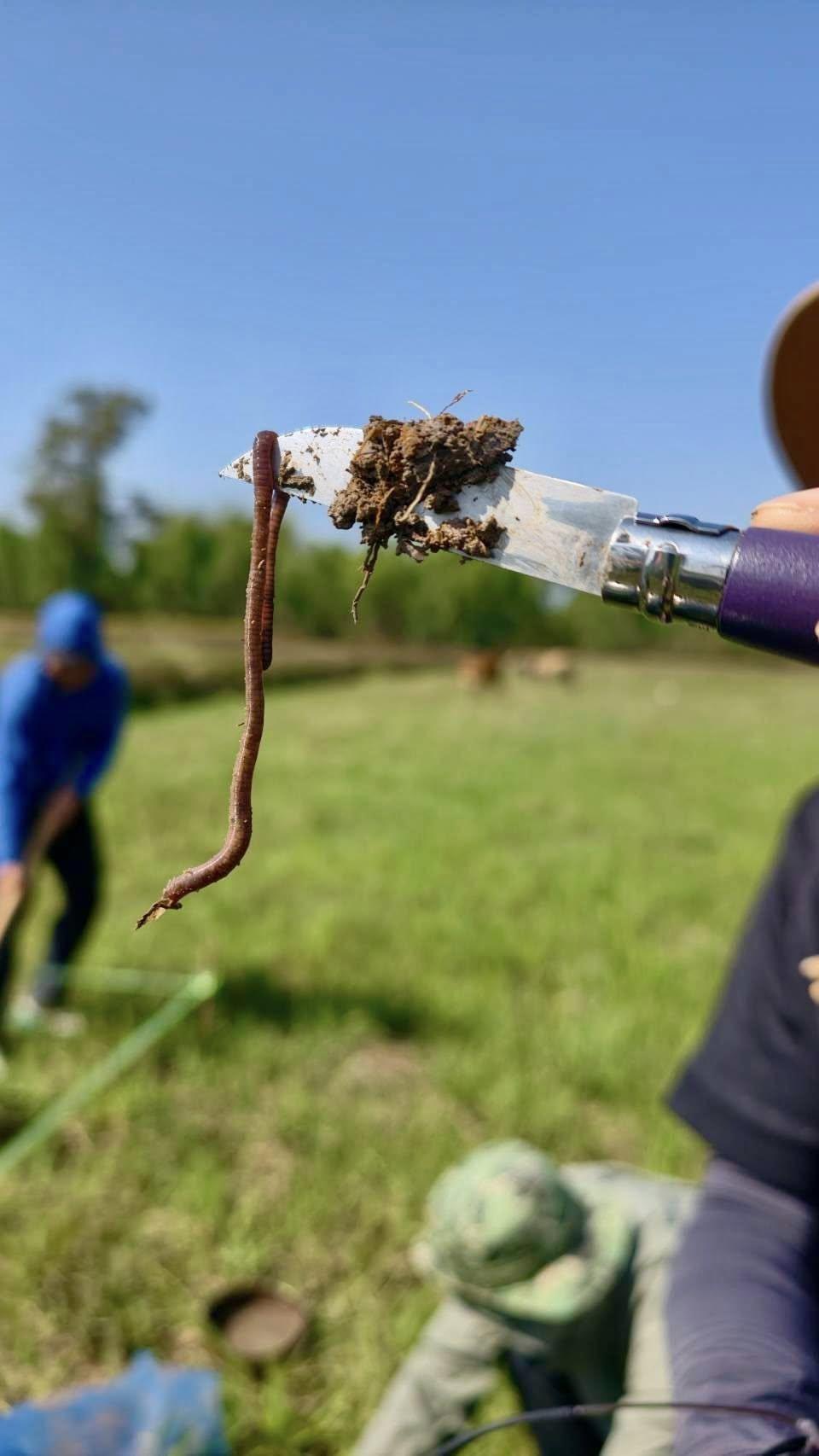 ภาพประกอบที่ 6