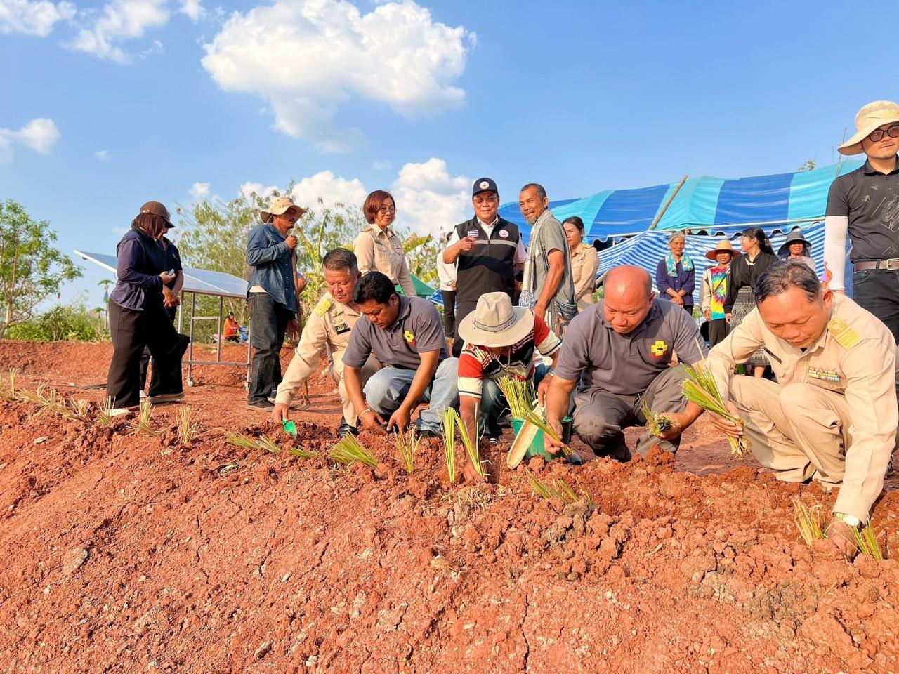 ภาพประกอบที่ 2