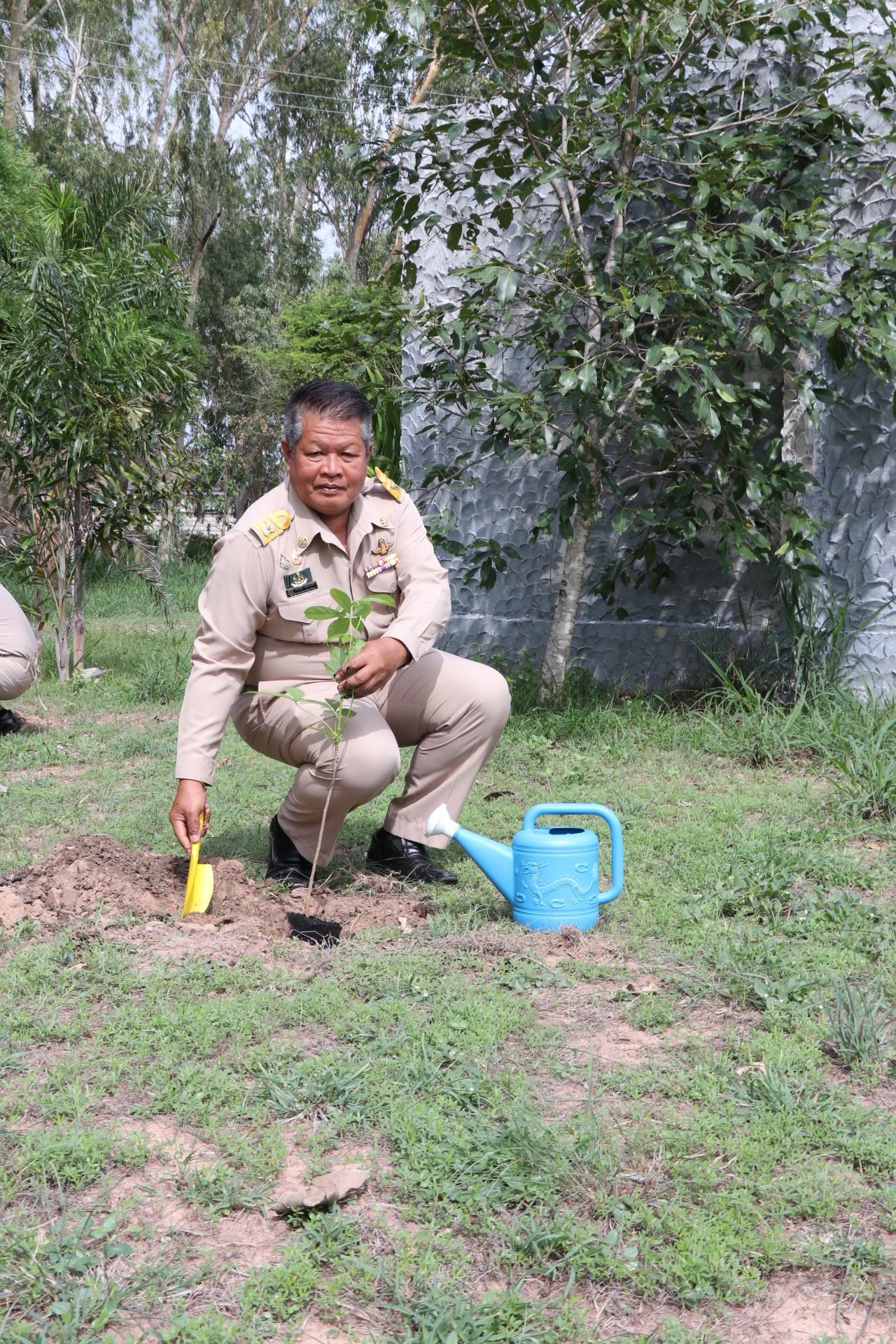 ภาพประกอบที่ 13