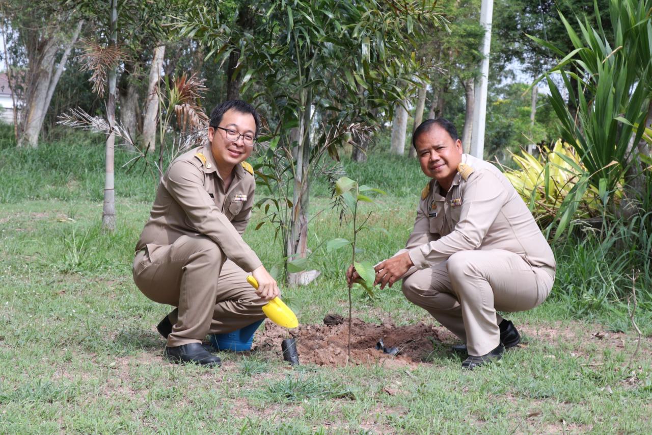 ภาพประกอบที่ 15