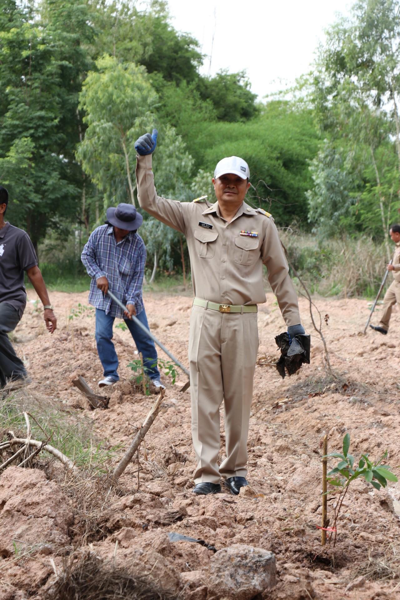 ภาพประกอบที่ 25