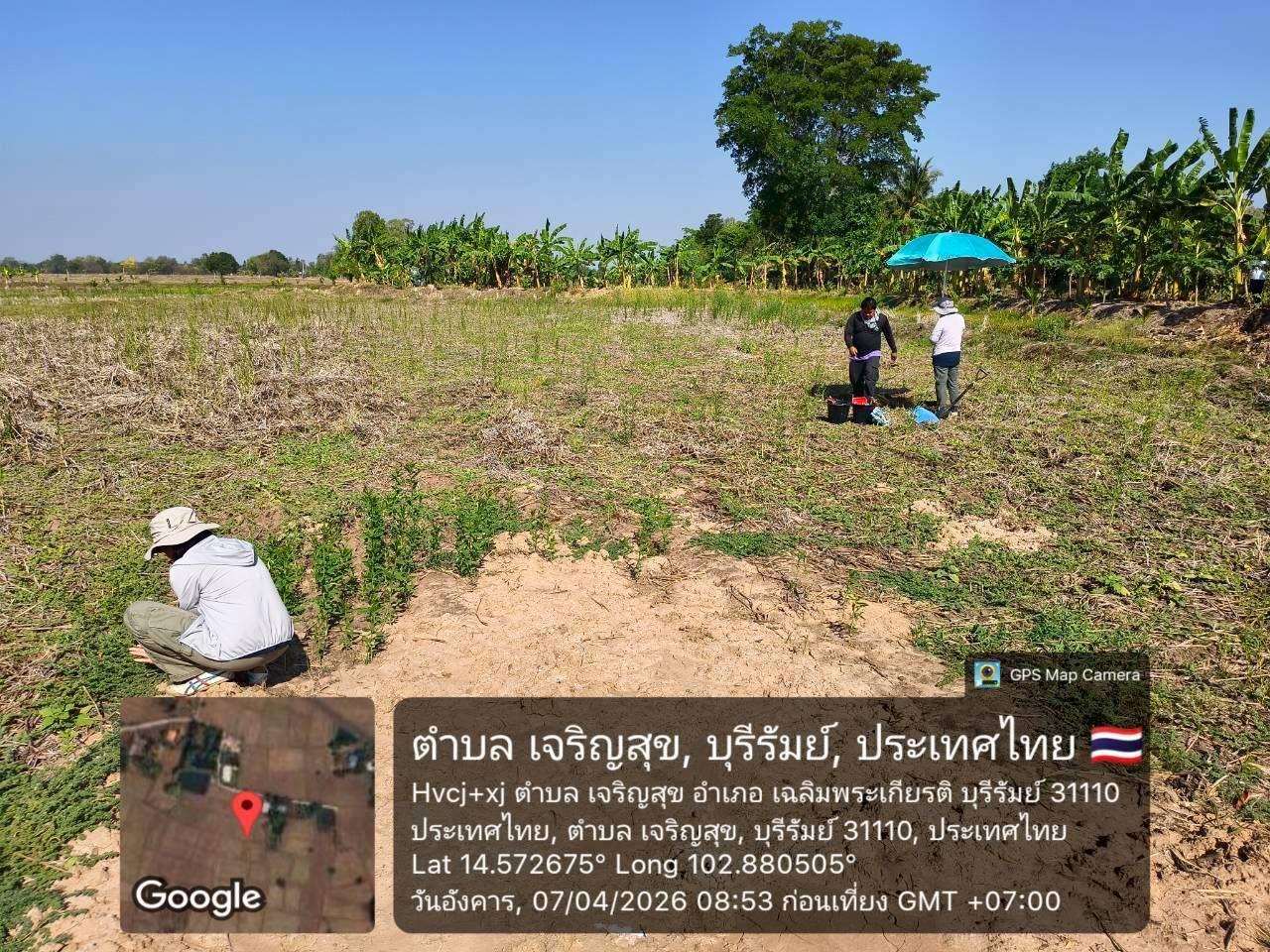 ภาพประกอบที่ 0