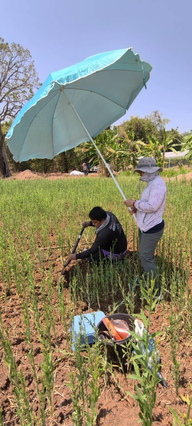 ภาพประกอบที่ 10