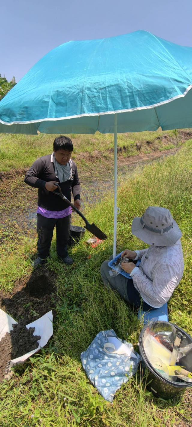 ภาพประกอบที่ 25