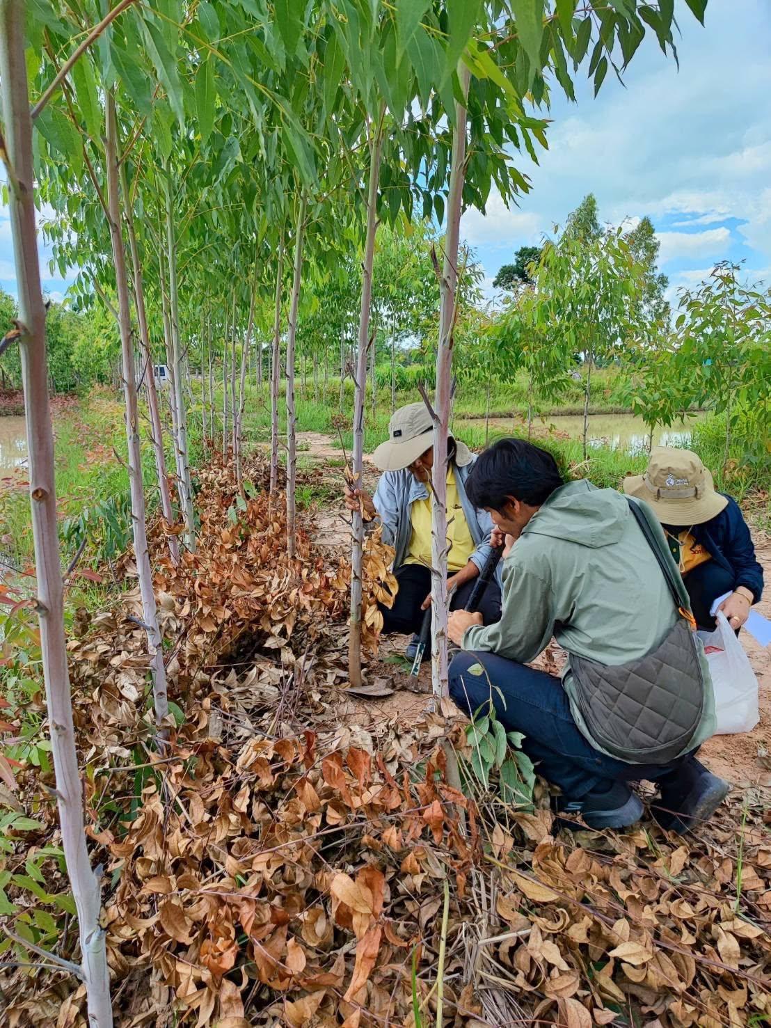 ภาพประกอบที่ 3