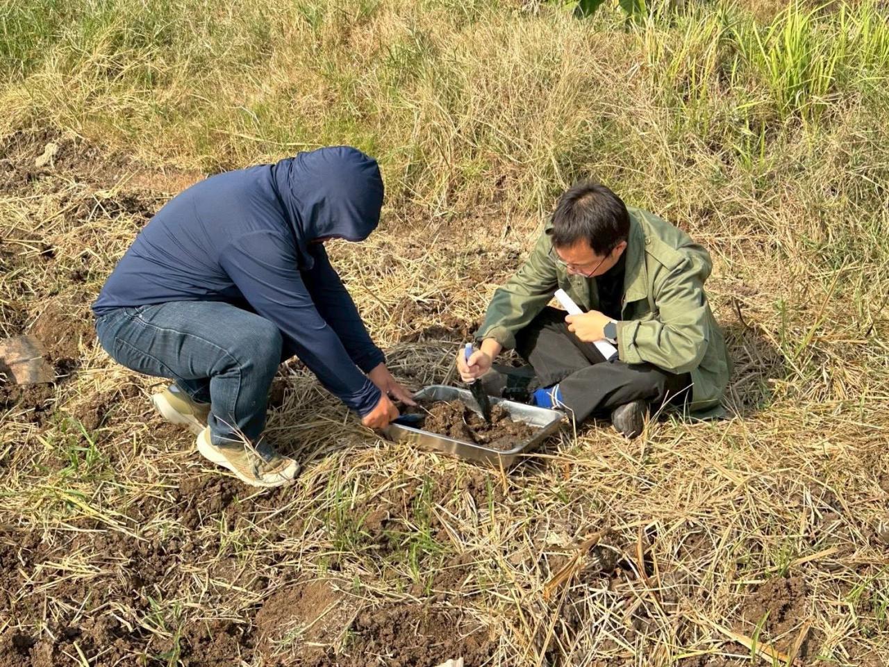 ภาพประกอบที่ 25