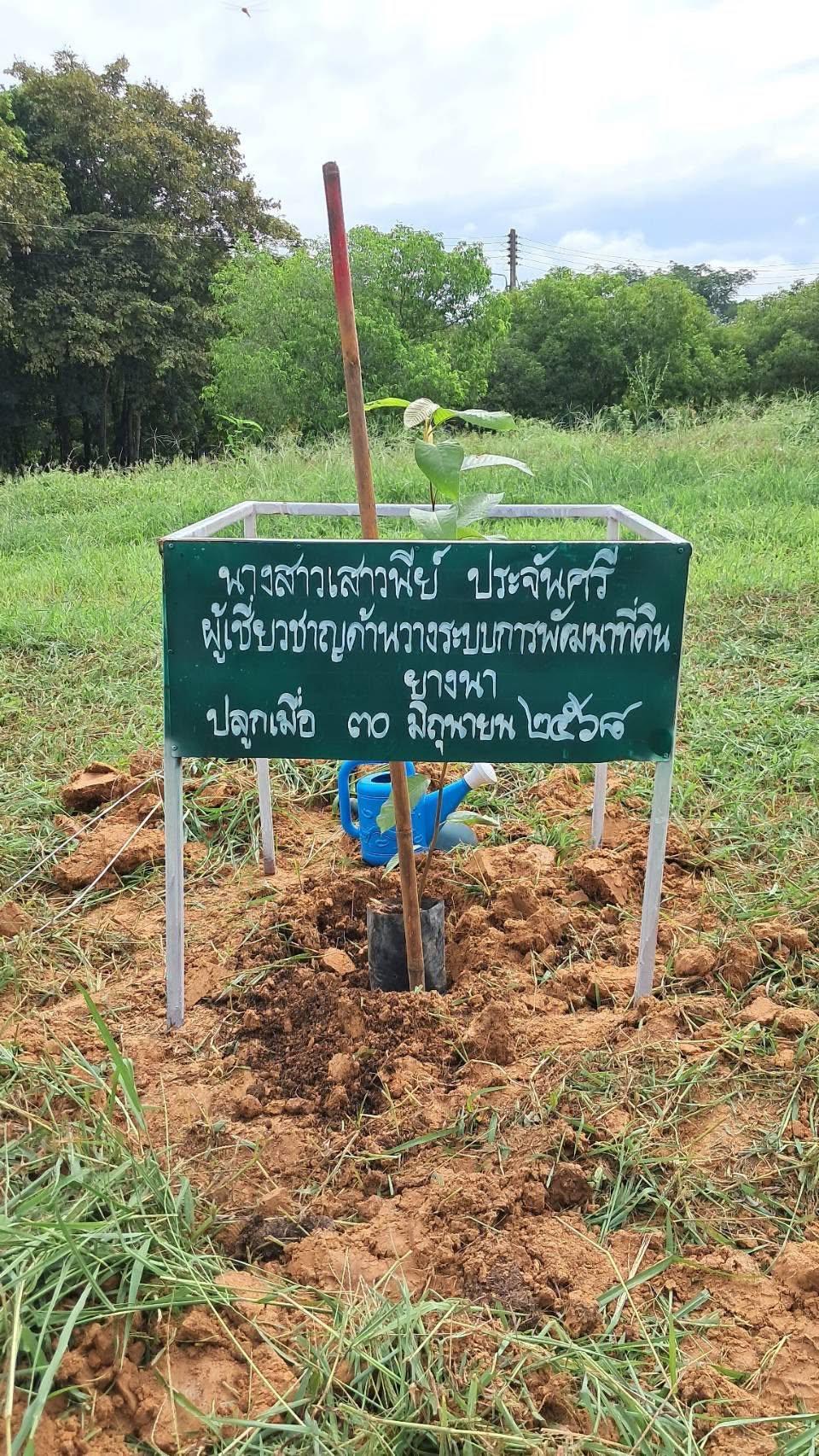 ภาพประกอบที่ 5
