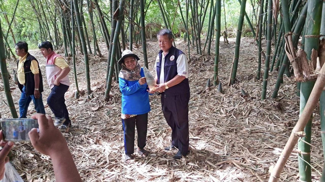 ภาพประกอบที่ 8
