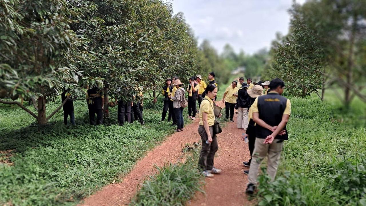 ภาพประกอบที่ 14
