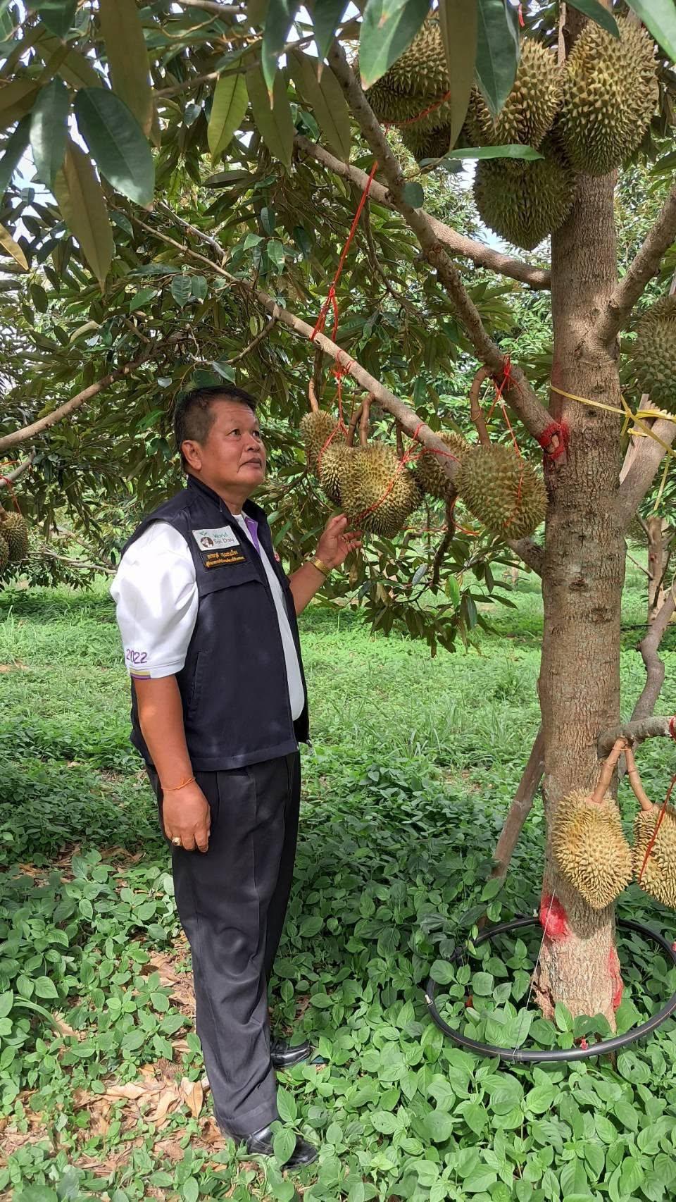 ภาพประกอบที่ 15