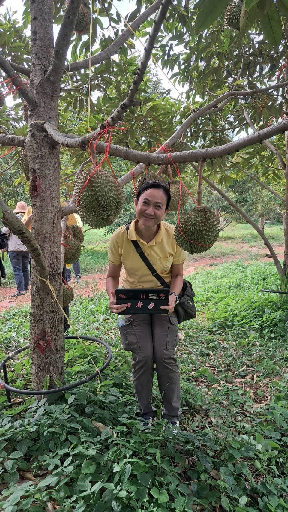 ภาพประกอบที่ 16