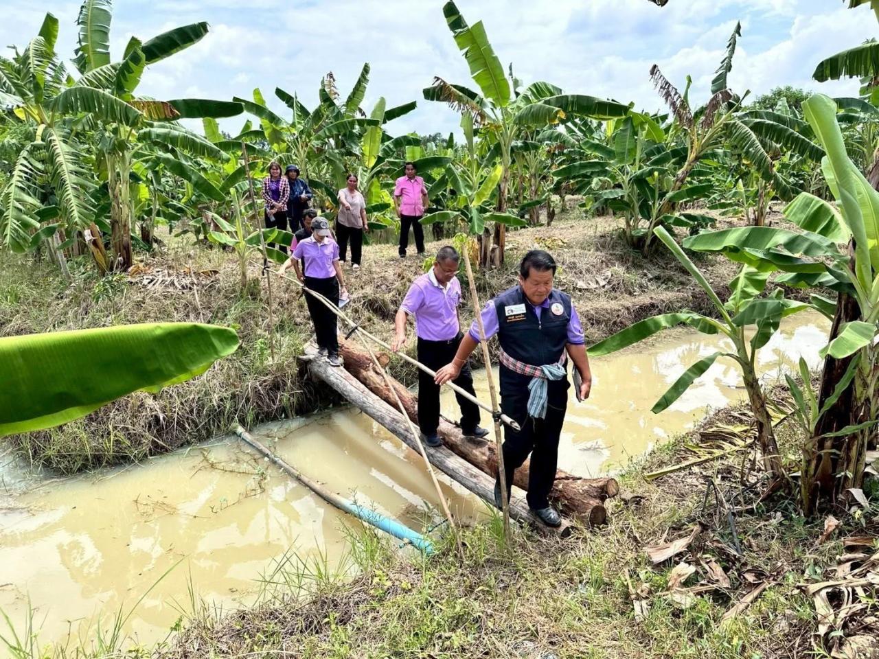 ภาพประกอบที่ 0
