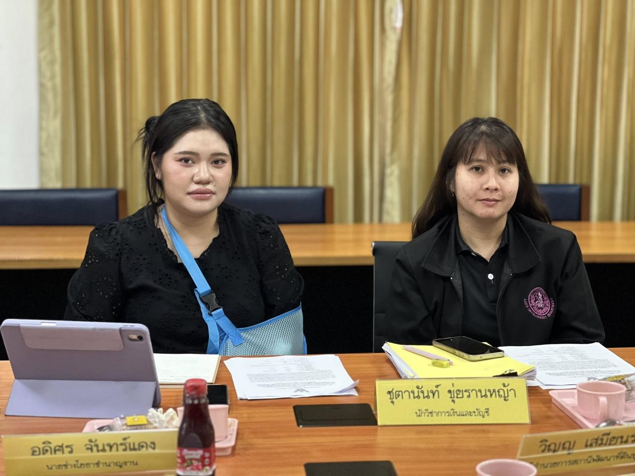 ภาพประกอบที่ 11