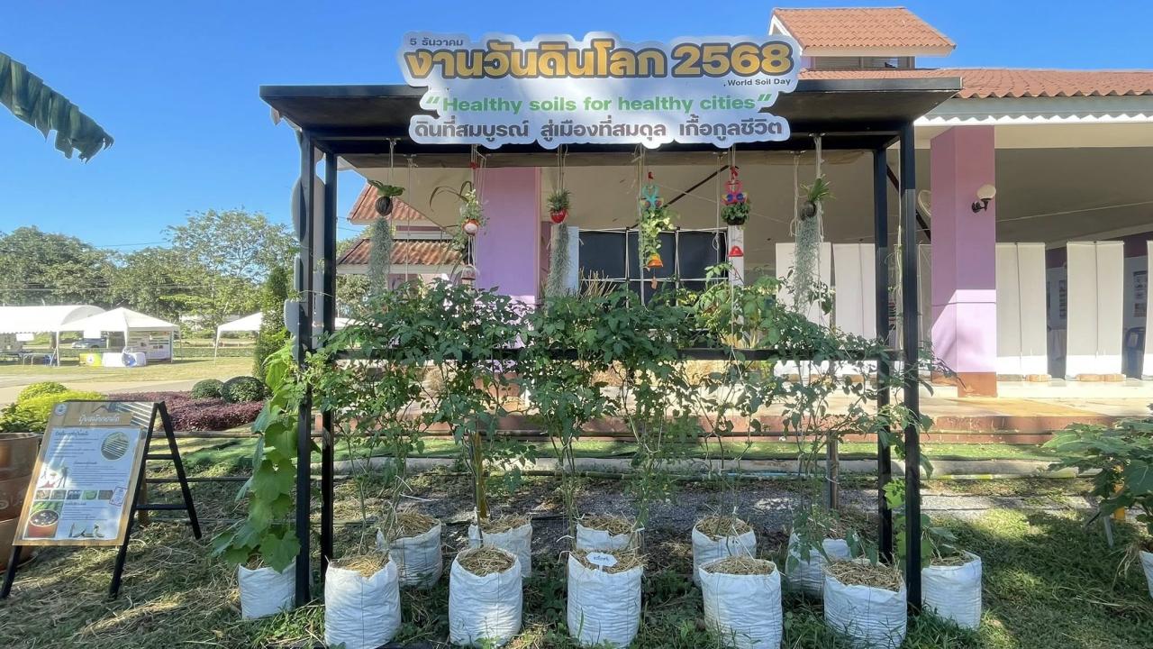 ภาพประกอบที่ 7