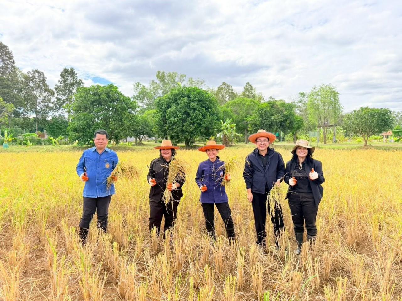 ภาพประกอบที่ 3