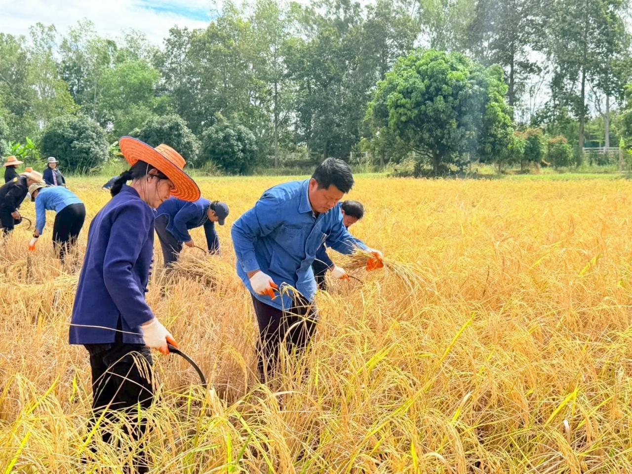 ภาพประกอบที่ 4