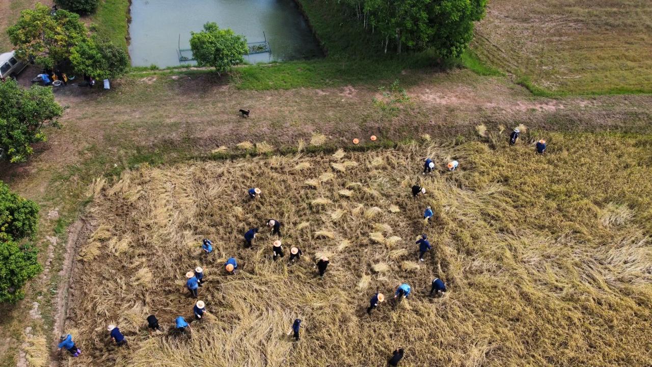ภาพประกอบที่ 6