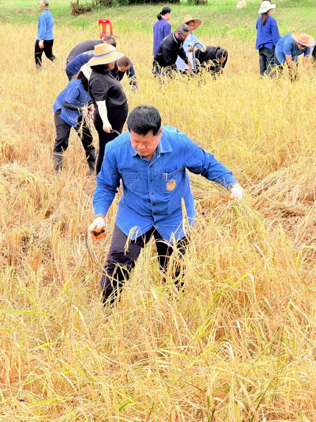 ภาพประกอบที่ 8