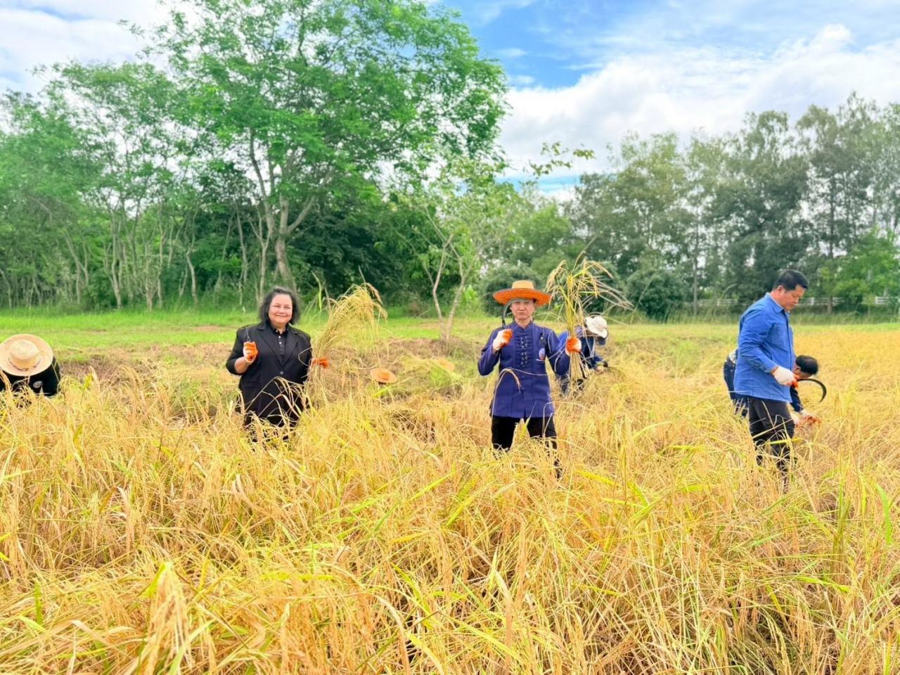 ภาพประกอบที่ 9