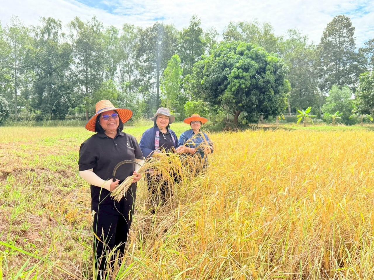 ภาพประกอบที่ 10
