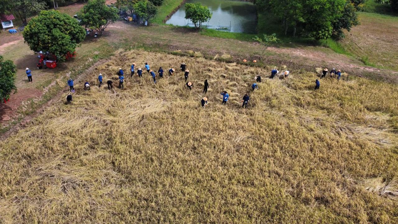 ภาพประกอบที่ 13