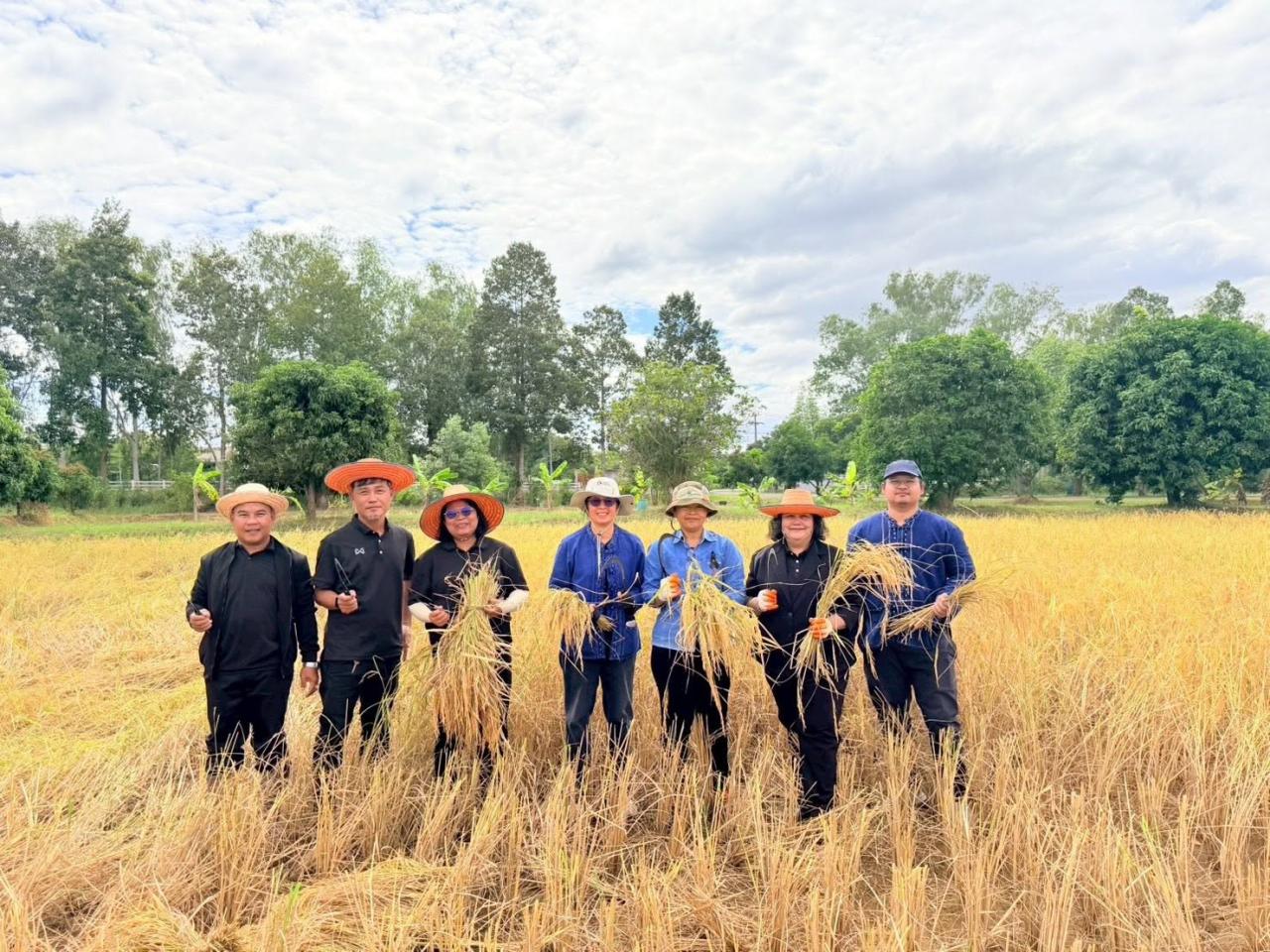 ภาพประกอบที่ 14
