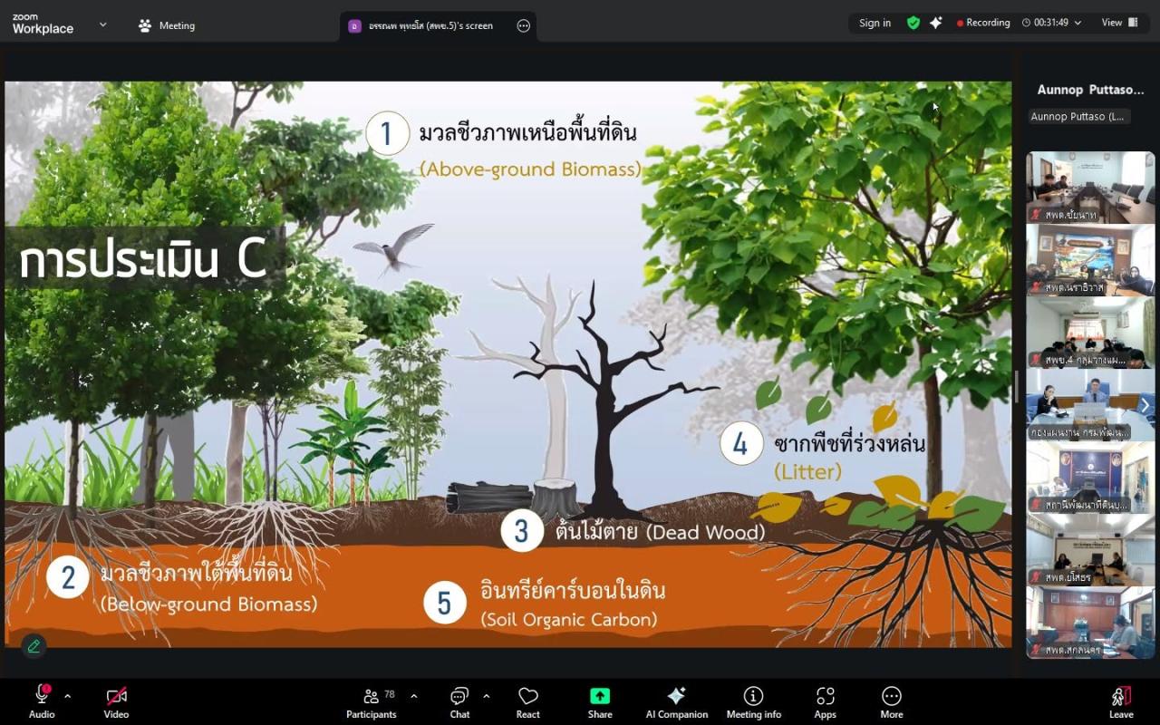 ภาพประกอบที่ 12