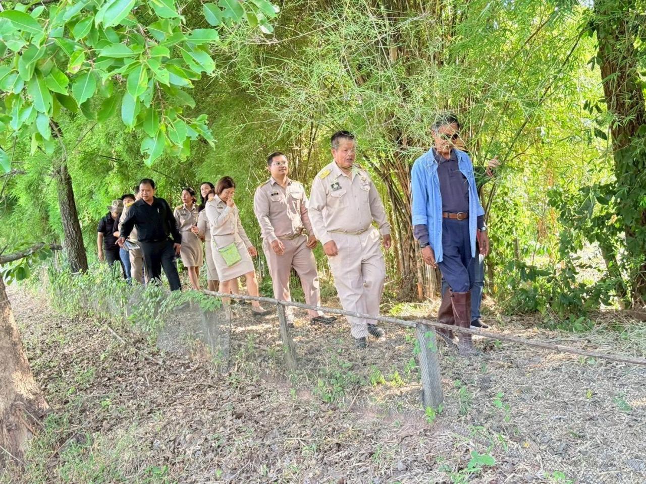 ภาพประกอบที่ 19