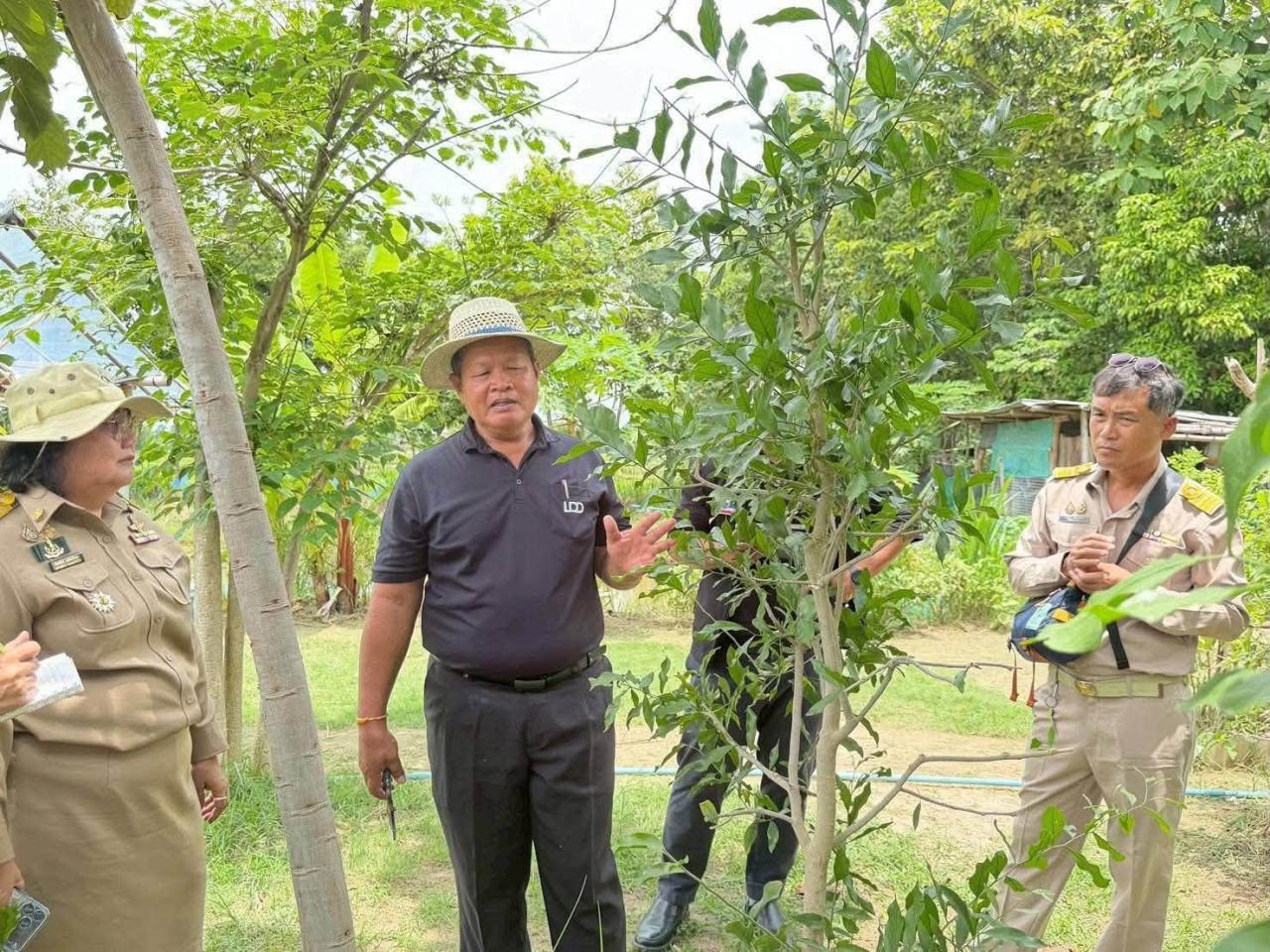 ภาพประกอบที่ 1